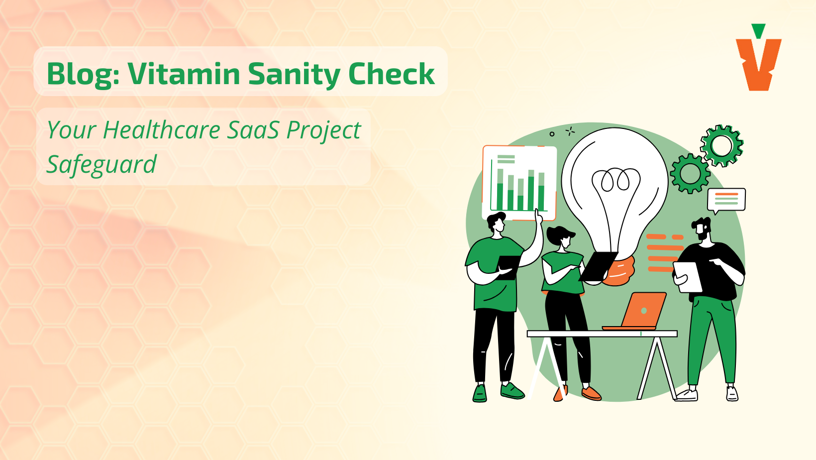 Vitamin Sanity Check: Your Healthcare SaaS Project Safeguard