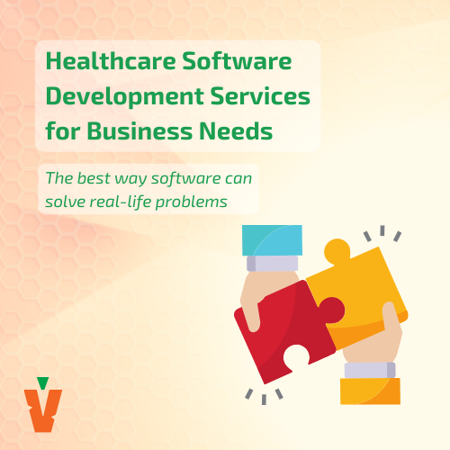 Healthcare Software Development Services for Business Needs